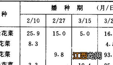 菜花主要病害 青花菜异常花球的形成和防治