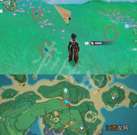 原神蜥蜴在哪抓