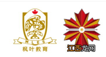 泰达枫叶国际学校学费多少 2023年泰达枫叶学校学费多少钱