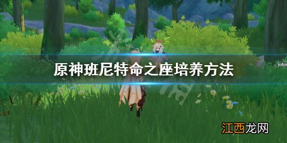 原神班尼特适不适合培养 原神班尼特能练吗