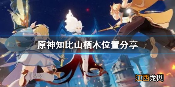 知比山栖木羽毛位置 原神知比山栖木去哪找