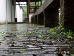 梅雨天气房间怎么除湿最好 梅雨天气房间怎么除湿