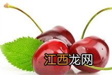 樱桃百科 红樱一号樱桃百科