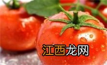 西红柿 西红柿首富