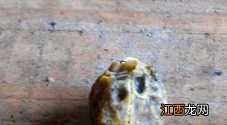 王台刚封盖可以分蜂吗 王台封盖后几天会自然分蜂