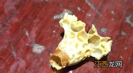 蜜蜂王台是怎么形成的 蜜蜂王台是怎样的