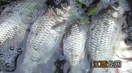 冬季是不是不好钓鱼 冬季钓鱼好钓吗