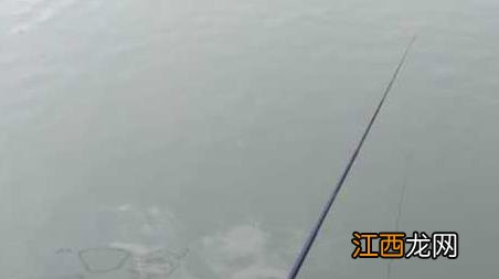 春季钓鲫鱼技巧大全 春天钓鲫鱼有哪些技巧