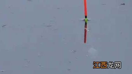 开春西北风好钓鱼吗 早春西北风好钓鱼吗