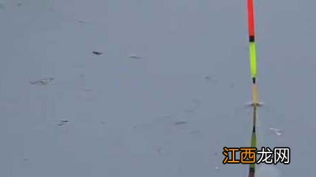 早春有雾好钓鱼吗 初春有雾好钓鱼吗