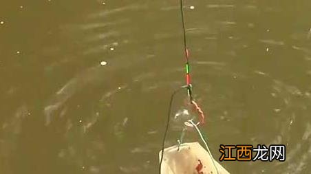 钓鱼打窝技巧及方法 钓鱼打窝必须掌握的6个技巧