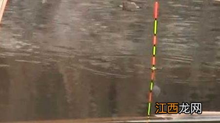 钓鱼新手入门基础知识 新手钓鱼入门基本知识