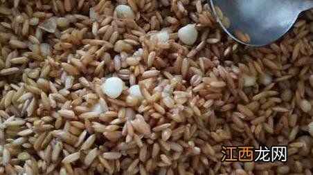 谷麦钓法怎么钓 谷麦钓法逗钓教学及注意事项