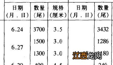 团头鲂和鲂的区别 养殖户为何喜欢养团头鲂