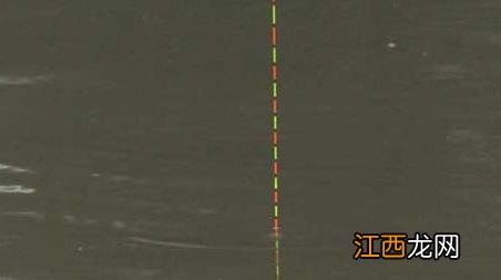 黑漂提竿不中鱼怎么办 黑坑黑漂提竿却不中鱼的解决妙招