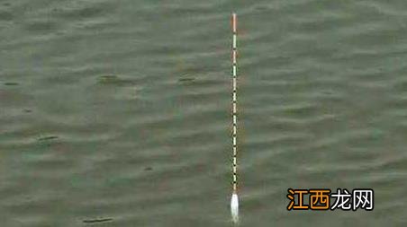 黑漂提竿不中鱼怎么办 黑坑黑漂提竿却不中鱼的解决妙招