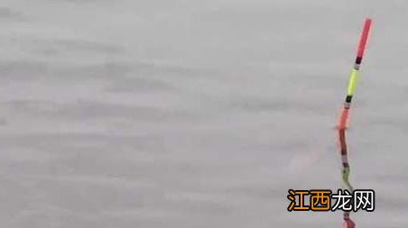 钓鱼没有黑漂的原因 为什么黑漂了钓不到鱼