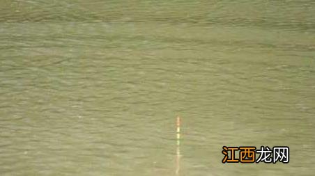 黑漂打不到鱼是怎么回事 黑漂打不中鱼