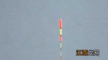 黑漂打不到鱼是怎么回事 黑漂打不中鱼