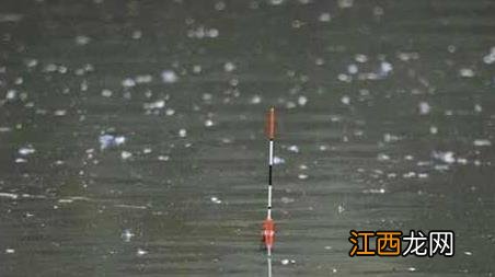 黑漂打不到鱼是怎么回事 黑漂打不中鱼