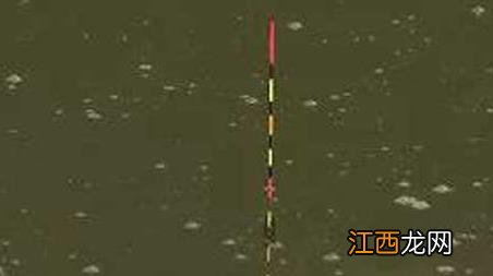 黑漂打不到鱼是怎么回事 黑漂打不中鱼