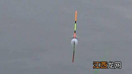 鲤鱼漂相什么时候提竿 鲫鱼漂相什么时候提竿