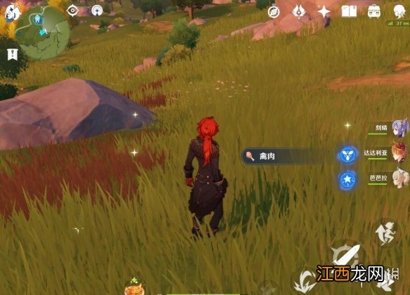 原神禽肉刷新点推荐 元神禽肉在哪里刷