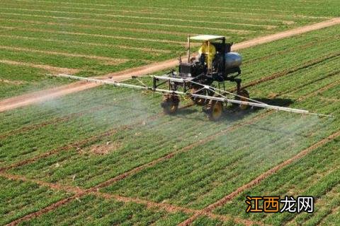 敌敌畏治什么害虫 敌敌畏能治什么害虫