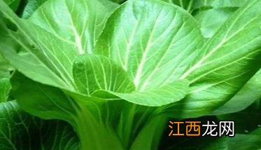 油菜如何施肥效果好 油菜如何施肥