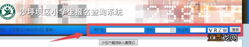 2023重庆沙坪坝小学报名查询系统入口+查询时间