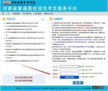 河南省高考档案状态查询系统入口官网