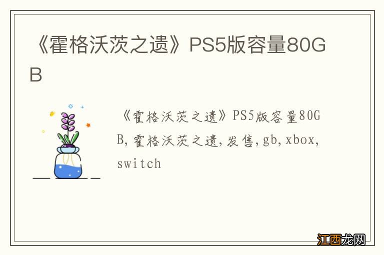 《霍格沃茨之遗》PS5版容量80GB