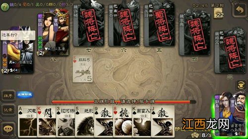 三国杀简介 三国杀国战野心家介绍