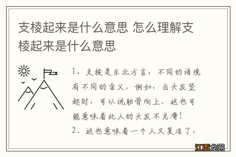 支棱起来是什么意思 怎么理解支棱起来是什么意思