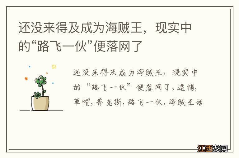 还没来得及成为海贼王,现实中的“路飞一伙”便落网了