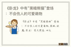 《卧龙》中有“黑暗熊猫”登场：不会伤人的可爱萌物