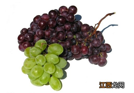 葡萄怎么洗？葡萄干怎么吃最有营养