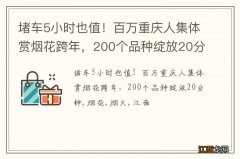 堵车5小时也值！百万重庆人集体赏烟花跨年，200个品种绽放20分钟