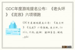 GDC年度游戏提名公布：《老头环》《流浪》六项领跑