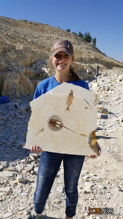 最古老的蝙蝠生活在5000多万年前 史上最大的蝙蝠有多大