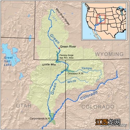 最古老的蝙蝠生活在5000多万年前 史上最大的蝙蝠有多大