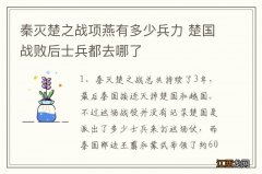 秦灭楚之战项燕有多少兵力 楚国战败后士兵都去哪了