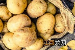 如何保存土豆 土豆怎么存放