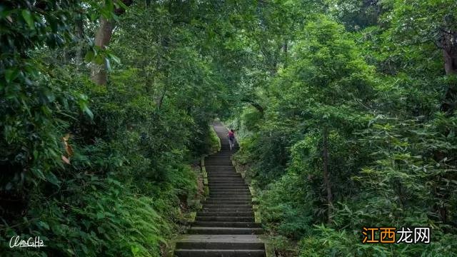 这可能是你见过的最详尽的峨眉山徒步攻略 峨眉山最经典的徒步游玩攻略