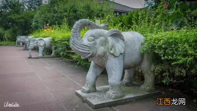 这可能是你见过的最详尽的峨眉山徒步攻略 峨眉山最经典的徒步游玩攻略