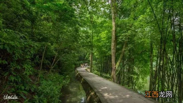 这可能是你见过的最详尽的峨眉山徒步攻略 峨眉山最经典的徒步游玩攻略
