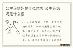 公主连结妈是什么意思 公主连结妈是什么梗