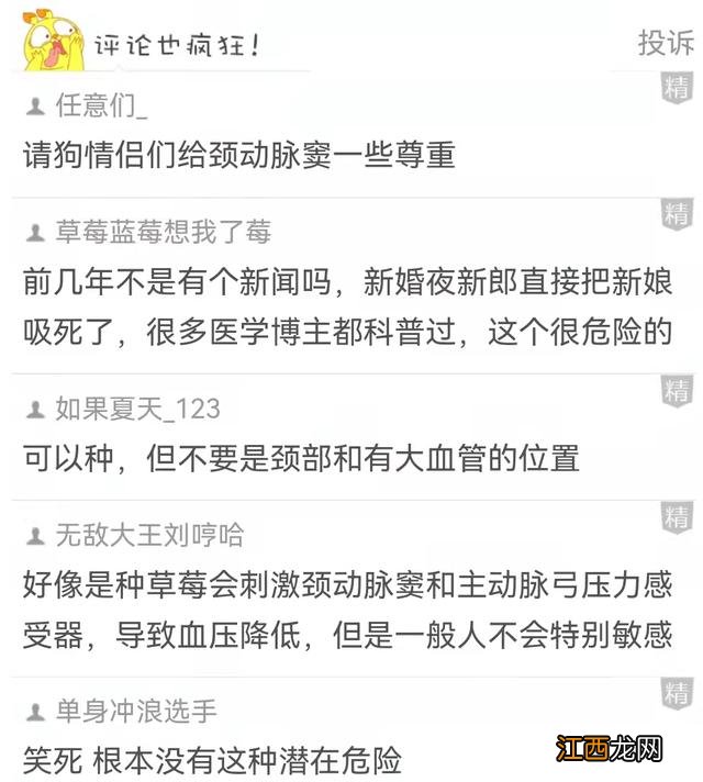 不要随便给对象 在自家种草莓容易吗