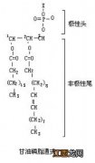 磷脂主要是哪三部分组成