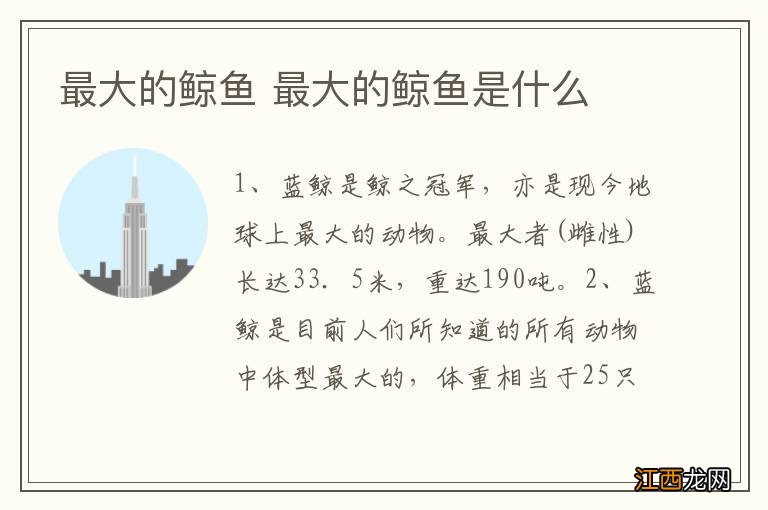 最大的鲸鱼 最大的鲸鱼是什么